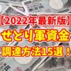 【2022年最新版】せどり(転売)の軍資金の作り方(調達方法)15選！